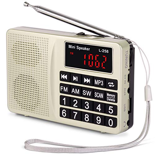 Amazon.ca Shortwave Radios Electronics