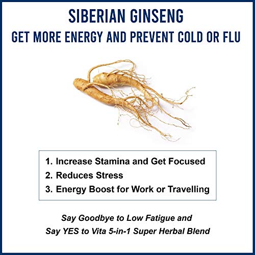 MUDWTR Starter Kit - 30 Servings of Mushroom Complex Coffee & Drink Mix ...