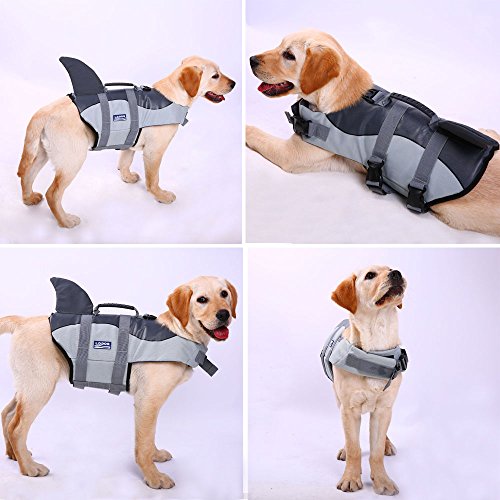 ld dog life jacket