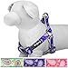 Blueberry Pet 5 Colors Soft & Comfy Step-in Paisley Flower Print Dog Harness, Chest Girth 19.5
