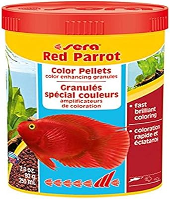 parrot fish food buy online