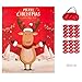 MISS FANTASY Christmas Party Games for Kids Pin The Nose on The Reindeer Xmas Activities Christmas Pin Game Xmas Gifts for Kids New Year Party Favor Supplies (Reindeer)