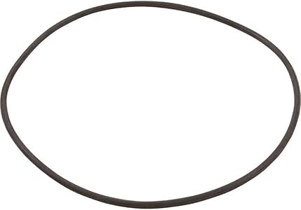 Aazon.co: CXFHR1001 Head O-Ring for Hayward ASL/ReGenX Grid DE/SwiClear Pool Filters, O-88