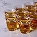 Elite Selection Shot Glasses | 1 Oz. Clear Plastic Disposable Cups | Perfect Party Shot Cups for Shots, Tasting, Sauce, Dips | Pack of 360