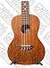 Luna Mahogany Concert Ukulele with Lizard Design, UKE MO MAH, Bag, FREE Aquila