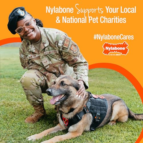 NYLABONE HEALTHY EDIBLES WILD NATURAL DOG CHEWS, LONG LASTING BONES FOR DOGS, BISON FLAVOR DOG TREATS, MEDIUM (2 COUNT)