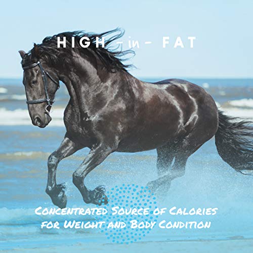 Manna Pro Cool Calories 100 Equine Dry Fat Supplement for Healthy Weight Gain 8 Pounds