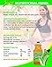 Juce Pickle Juice Sports Hydration Drink Muscle Cramp Relief Electrolytes Natural Supplement Sport Rehydration Shots Pouches Workout Runners Cycling Hydrate Cramps Soreness (Juce Pouch, 3 Pack)