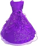 Little/Big Girls Embroidered Beaded Flower Girl Birthday Party Dress with Petticoat