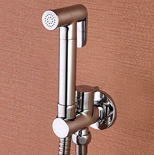Toilet Brass Hand Held Bidet Spray Shower Head