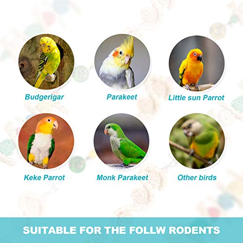 S-Mechanic 40 Pieces Parrot DIY Chew Toys Set,Parrots Beak Parts a Unique Creative Craft Chewing Toys Suitable for Parakeet,Conures, Mini Macaw, Lovebirds,Finch Chewing and Playing (Style-1)