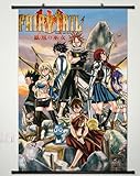 Fairy Tail Wall Scroll Poster Fabric Painting for Anime Key Roles 111 S