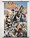 Fairy Tail Wall Scroll Poster Fabric Painting for Anime Key Roles 111 S