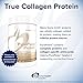 Designs for Health PurePaleo Protein Powder – Vanilla Pure Beef Collagen Peptides, 21 Grams HydroBEEF Protein with Collagen + BCAAs (30 Servings, 810 Grams)thumb 1