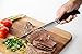 Zyliss Control Carving Knife - Professional Kitchen Cutlery Knives - Premium German Steel, 8-inch