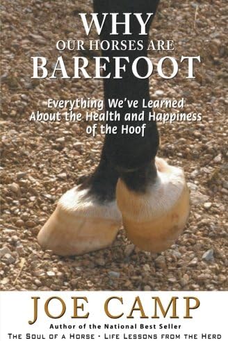 Why Our Horses Are Barefoot: Everything We’ve Learned About the Health and Happiness of the Hoof