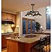 Westinghouse Lighting 6345000 Iron Hill Four-Light, Oil Rubbed Bronze Finish with Highlights Indoor Chandelier/Semi-Flush Ceiling Fixture, 4
