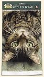 Fiddler's Elbow Perculiar Perspective Cat Kitchen Cotton Dish Towel
