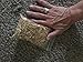 Palo Santo, The Palo Santo Flakes are The Easiest and Best Way to Smudge Palo Santo They Light Easily and Smudge Longer Then Sticks. Use Sparingly A Small Amount Last Along time 1.5 Ounces 42 Grams.