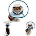 Pet Plastic Clear Cone Recovery E-Collar with Dots Design Soft Edge for Small Dogs & Cats (Medium, Blue)
