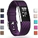 GEAK for Fitbit Charge 2 Bands, Adjustable Replacement Sport Accessory Strap Band for Fitbit Charge 2, Small Diamond Plum