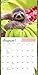 Sloths Wall Calendar 2018