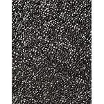 Banetteta"Glittering Stars" Shawls and Wraps for Evening Dresses Wedding Wrap Shawl Fringe Scarf with Free Button