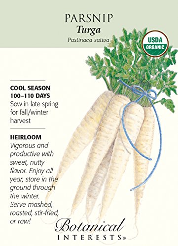 Organic Turga Parsnip Seeds - 500 mg - Botanical Interests Organic Turga Parsnip Seeds - 500 mg - Botanical Interests