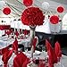 Red Paper Flower Tissue Pom Poms Party Supplies (red,white,12pc)