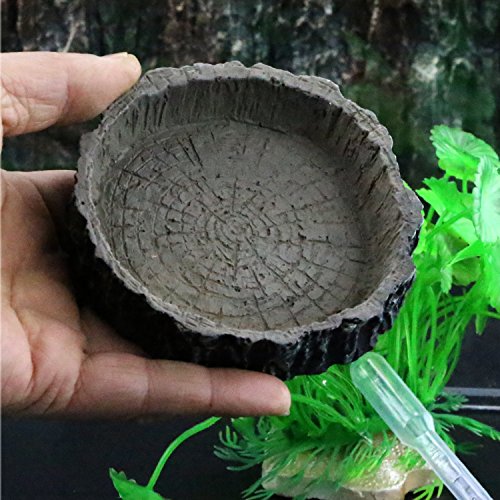 Coospider Reptile Amphibian Terrarium Vivariums Rock Back Feeding Habitat Kit Horizontal Size t12“ L x 8" W x 6" H
