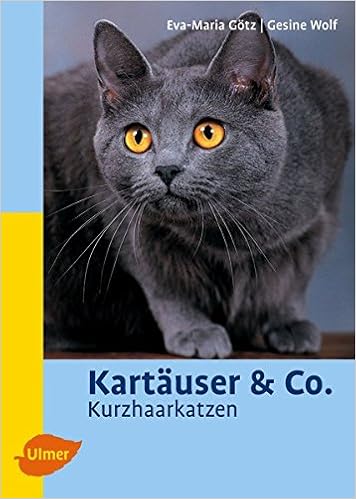 Kartäuser Co Kurzhaarkatzen Heimtiere Amazonde Eva
