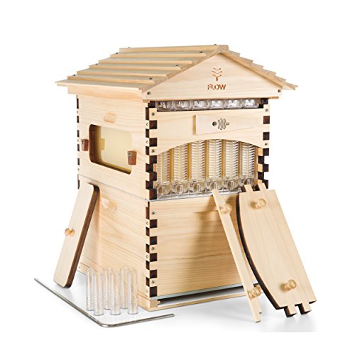 Buy Flow Official Hive Classic Araucaria 6 Frame - Langstroth style