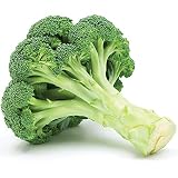 Broccoli Seeds (De Cicco), 300+ Premium Heirloom Seeds, ON SALE!, (Isla's Garden Seeds), Non Gmo Organic, 90% Germination, Highest Quality.