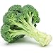 Broccoli Seeds (De Cicco), 300+ Premium Heirloom Seeds, ON SALE!, (Isla's Garden Seeds), Non Gmo Organic, 90% Germination, Highest Quality.