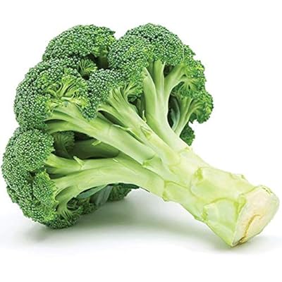 Broccoli Seeds (De Cicco), 300+ Premium Heirloom Seeds, ON SALE!, (Isla's Garden Seeds), Non Gmo Organic, 90% Germination, Highest Quality.