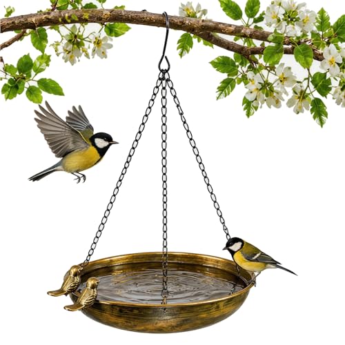 ZhouWei Bain d'oiseaux Suspendu en Métal, 25 cm Diamètre Abreuvoir Oiseaux Exterieur Suspendues, Bain Suspendu pour Oiseaux Jardin, Arrière Cour, Terrasse, Petits Decoration Jardin Balcon