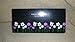 Marc Jacobs 4 Fragrances Sampler, Dot, Daisy, Oh, Lola!, Daisy Eau So Fresh, NEW