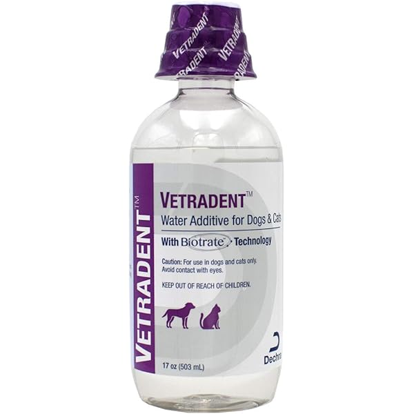 dentahex oral rinse petsmart