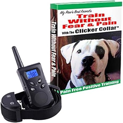 best dog shock collar on amazon