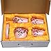 Fuloon Country Style Resin 5PC Bathroom Accessories Set Soap Dispenser/Toothbrush Holder/Tumbler/Soap Dish (Pink)