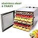Food Dehydrator Machine, 12 Hours Timer and Temperature Control, Stainless Steel 6 Trays, Super Capacity for Jerky/Meat/Beef/Fruit/Vegetable(95º F-167º F), Back Drying System, 600w