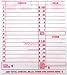 Cash Transmittal Bag 6 x 9