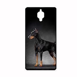 Tyboo Pc Cases Women Have Dobermann Dog For One