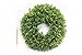 Realistic Artificial Indoor-Outdoor Greenery Mini Wreath 13 Inch Boxwood Green Wreaths for Front Door or Wall - Hanging Farmhouse Decor by Naturally Home Accents