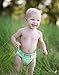 bumGenius One-Size Reusable Pocket-Style Snap-Closure Cloth Diaper 4.0 (Dazzle)