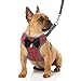 Rypet Small Dog Harness and Leash Set - No Pull Pet Harness with Soft Mesh Nylon Vest for Small Dogs and Cats Red S