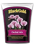 8QT Orchid Mix