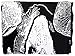 Sourpuss Skull Blanket