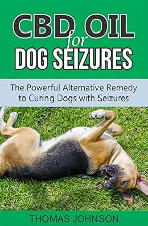 home remedies for dog seizures