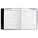 DayMinder Executive Planner 2016, Weekly/Monthly Planning, 6.88 x 8.75 Inches Page Size, Black (G5450016)